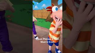 Meet N Greet Phineas & Ferb Disneyparks