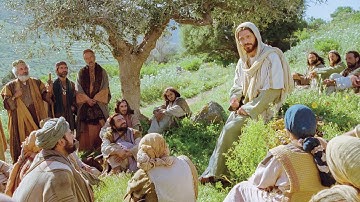 Ngày 16/9: Yêu mến nhiều, được tha thứ nhiều. Suy niệm: Linh mục Phaolô Nguyễn Xuân Đường, CSsR