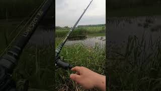 Lure fishing but its fishing trap.#lurefishing