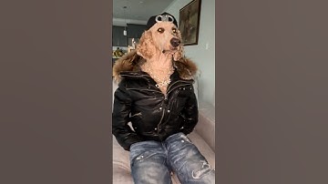 I don’t share my treats