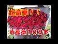 バラ100本の花束が出来るまで【お花屋アイビーチャンネル】Vol.02