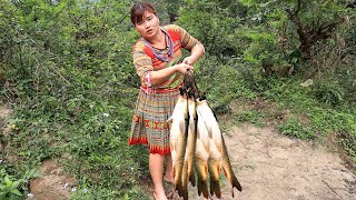 Full 72h: Daily practice of catching stream fish in mountain