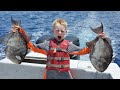 Trigger Fish Catch & Cook - Off Shore Fishing: Tuna, Mahi, Trigger fish, Snapper, Shark and More