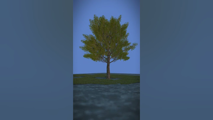 How Tree Pod Burials Work 🤔
