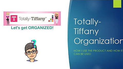 Totally-Tiffany Organization:  Teresa Buddy Bag @T...