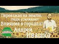 Андрей Ивашко: Переезжая "на землю", люди усиливают влияние в городе