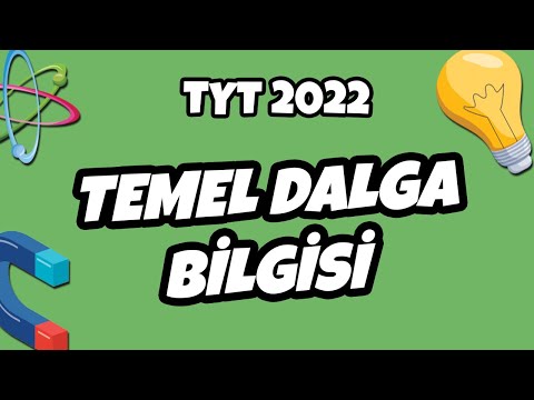 TYT Fizik - Temel Dalga Bilgisi | TYT Fizik 2022 #hedefekoş