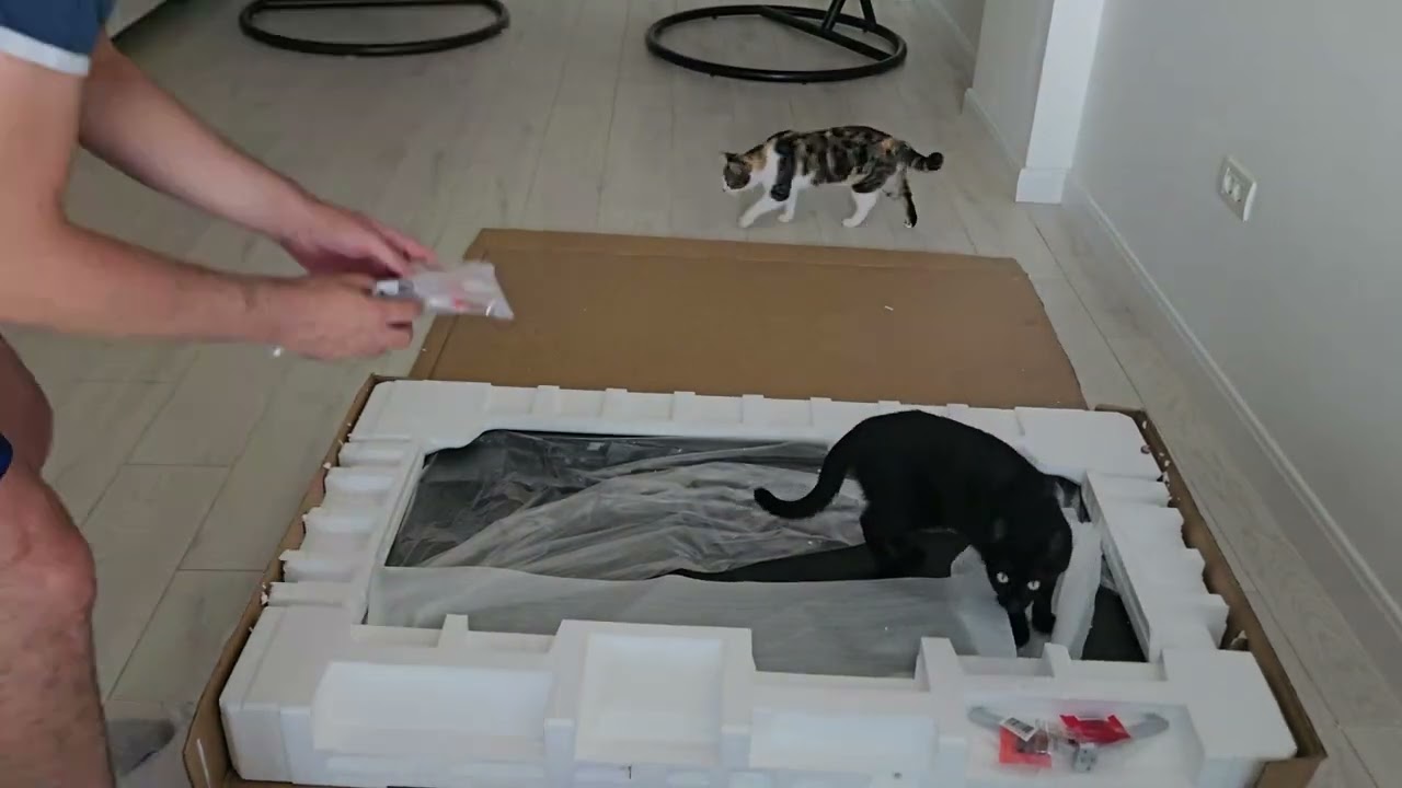 Philips The One 2023 (58") - unboxing