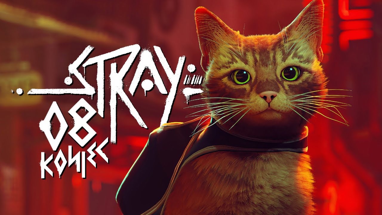 Stray PL #8 - Zakończenie - 4K Gameplay PL