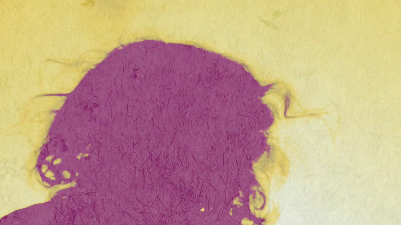 Watch Pieta Brown - Ask For More (Official Music Video) on YouTube Watch Pieta Brown - Ask For More (Official Music Video) on YouTube