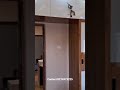 #3bhk #interior #interiorwork #budgetfriendlyinterior #interiordesign #bestinterior #homedecor