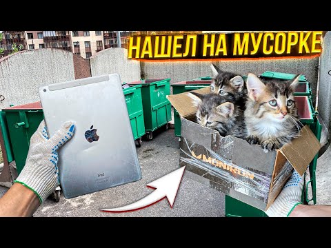 Как я зарабатываю лазая по мусоркам Питера ? Dumpster Diving RUSSIA #6