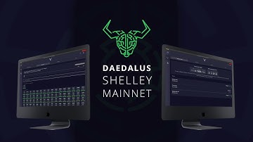 Delegating in Daedalus: an introduction