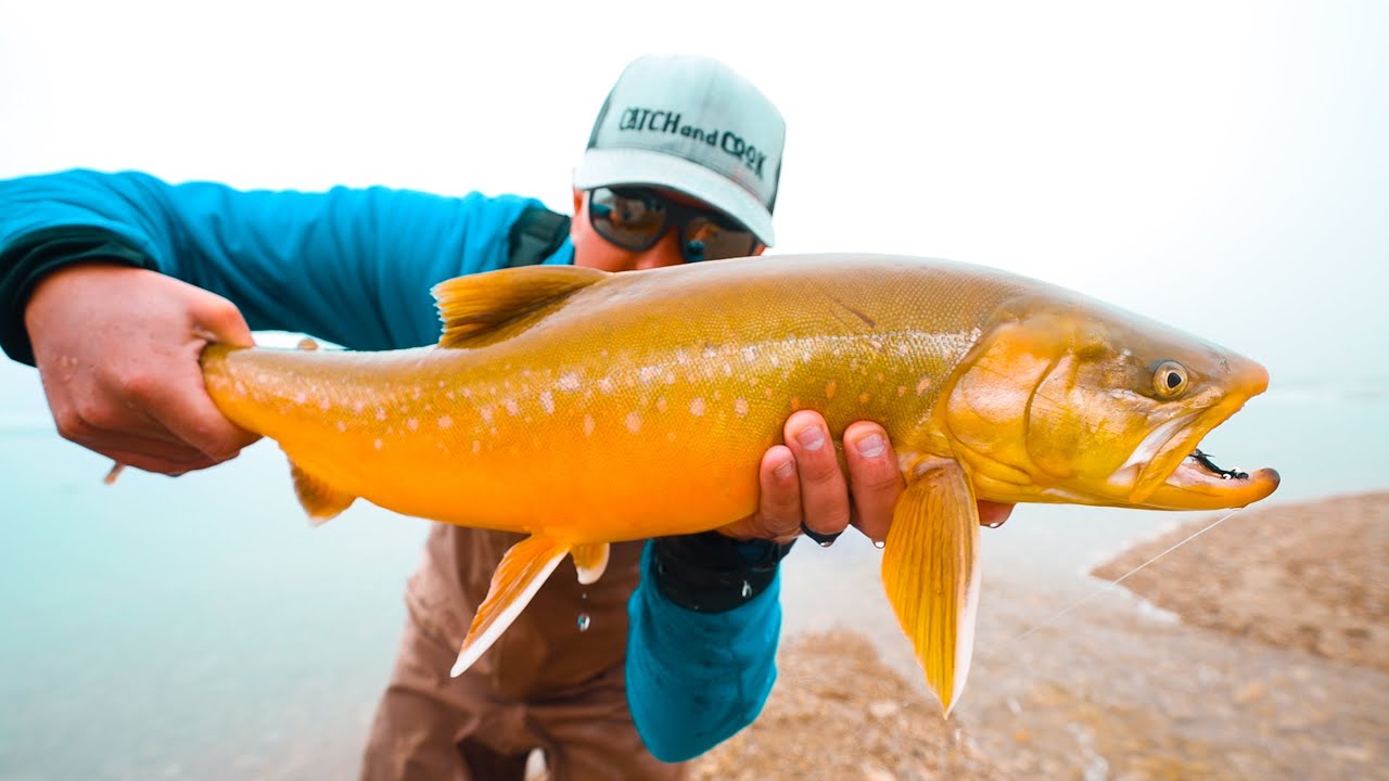 Monsters Of Thailand - FILM (Exotic Fishing) - YouTube