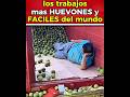 los trabajos mas Fáciles y Huevones del mundo 😱