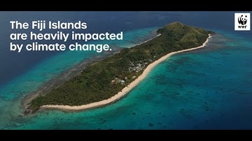 How mangroves benefit the people and ecosystems of Fiji