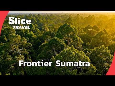 Sumatra’s Last Great Peatland Rainforest | SLICE TRAVEL | FULL DOC