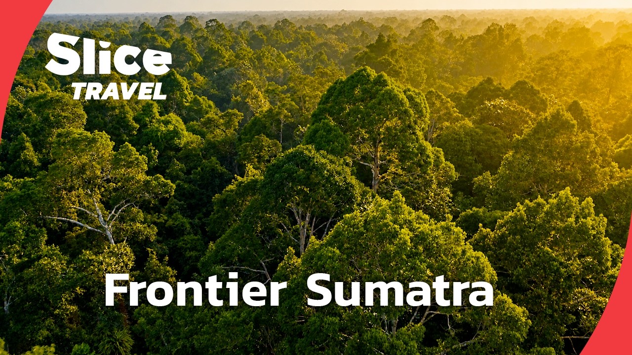 Sumatra’s Last Great Peatland Rainforest | SLICE TRAVEL | FULL DOC