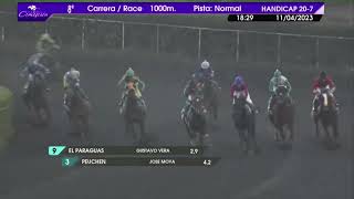 Vidéo de la course PMU PRIX SALLIERI