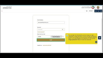 Taxpayer User Manual | Amend Business Activities via Update Business Activity Message