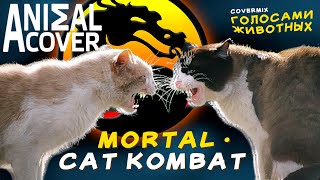 Mortal Kombat Cat Theme [Animal Cover]