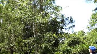 MVI_0683.AVI