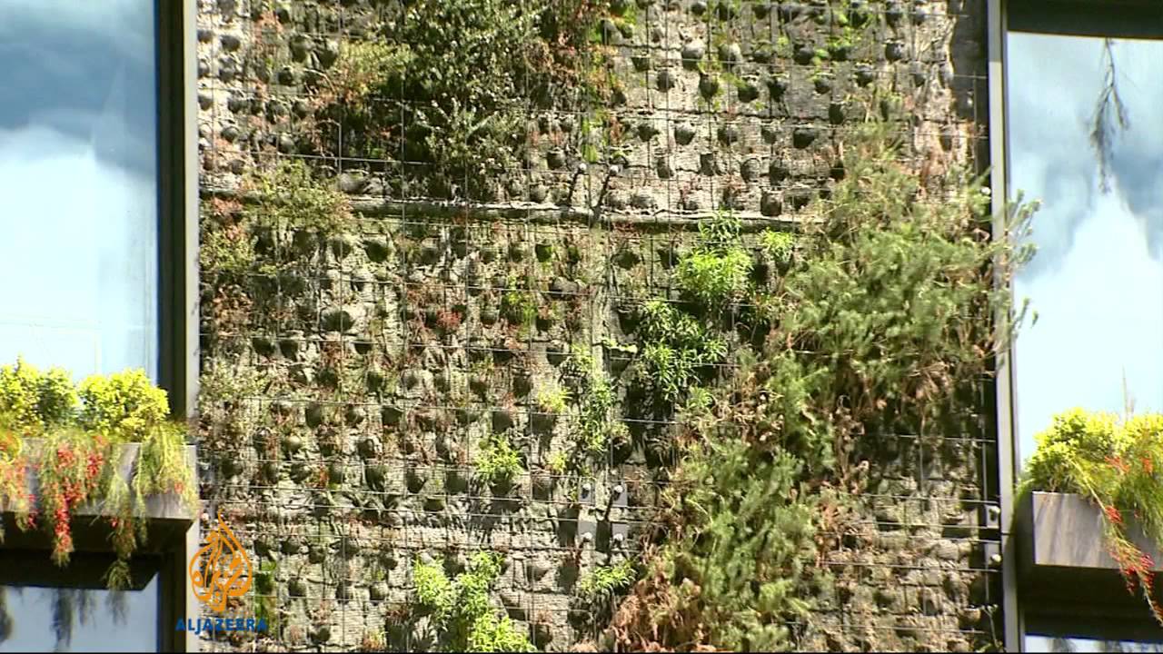 سيدني تتجه عمودياً نحو المساحات الخضراء
