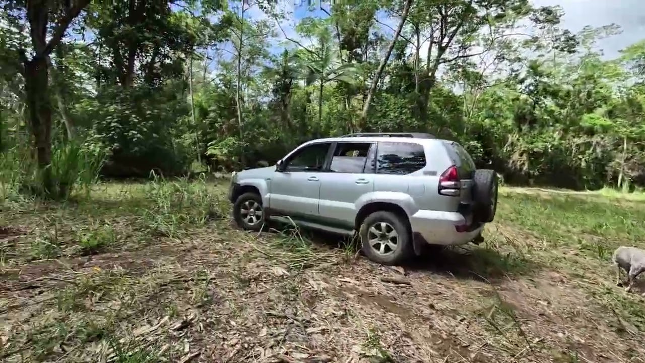 Участок 1, Кейп Трибулейшен Роуд, Диван, прогулка по тропическому лесу Дейнтри.