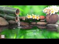 Relaxing Music - Stress Relief Music, Meditation, Spa, Sleep, Zen, Calming Music, Study, Yoga, Calmm