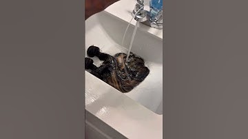 highlighting bundles tutorial #highlights #tutorials #hairhighlight