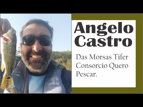 Vídeo: Por Que As 