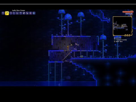 Terraria 1.4 #2 Worms Worms Everywhere