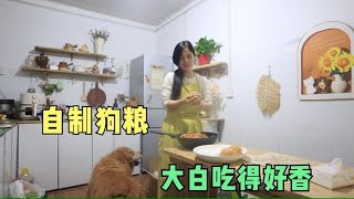 新疆小院摘点青菜捡个鸡蛋又是一顿， 给大白自制狗粮，可以吃好多天【1212房车旅行】