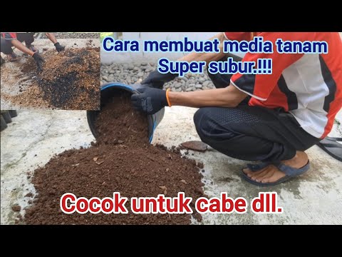 Cara membuat medai