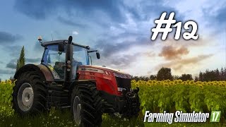 Farming Simulator 17 Gameplay ITA Ep.12-Pulizia ai maiali