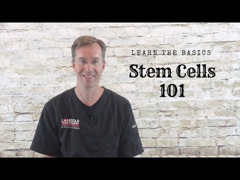 Stem Cell 101-
