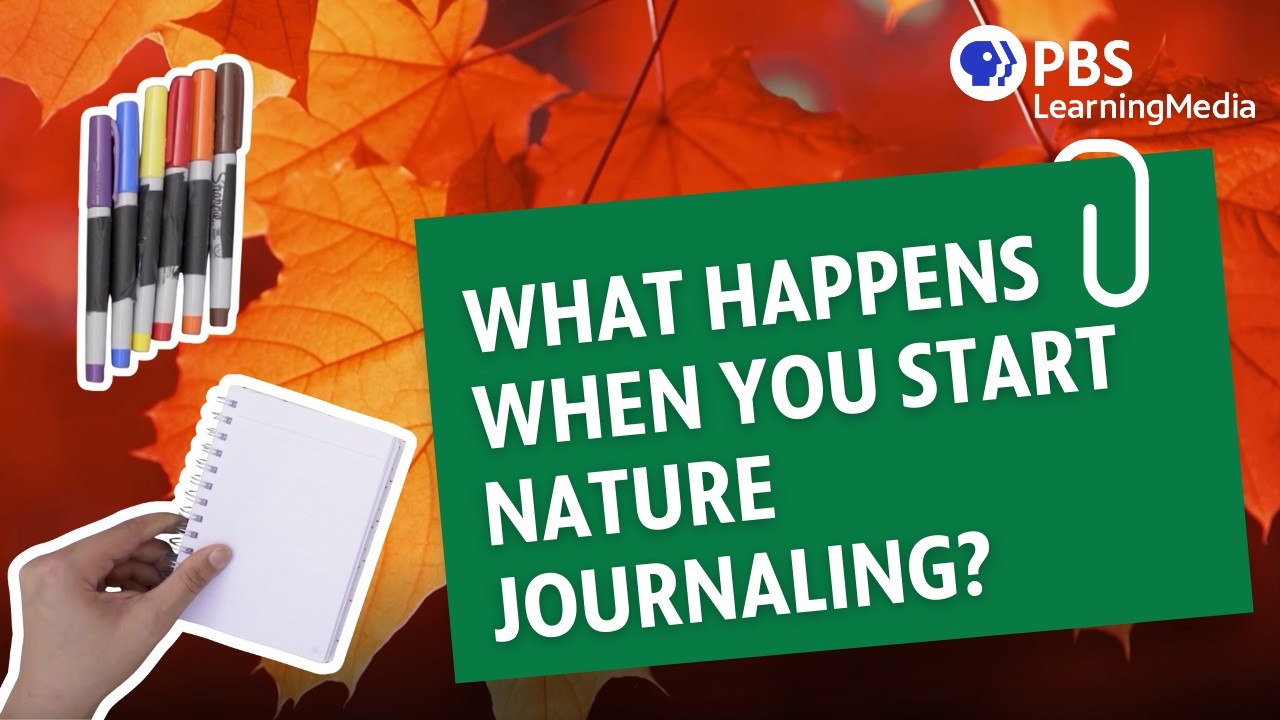 What Happens When You Start Nature Journaling?