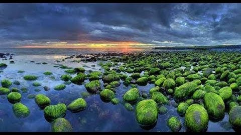 سورة الزمر HD القارئ حسن صالح تلاوة خاشعة Surah zummur Best voice mashaallah