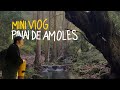 Mini Vlog: Pinal de Amoles