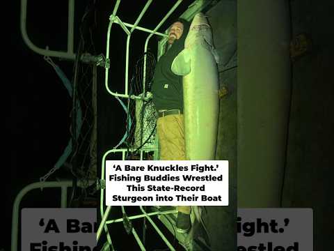Fishing Buddies Wrestle a State-Record Sturgeon into Their Boat on the Rainy River thumbnail