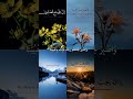 واصبر لحكم ربك فانك باعيننا
