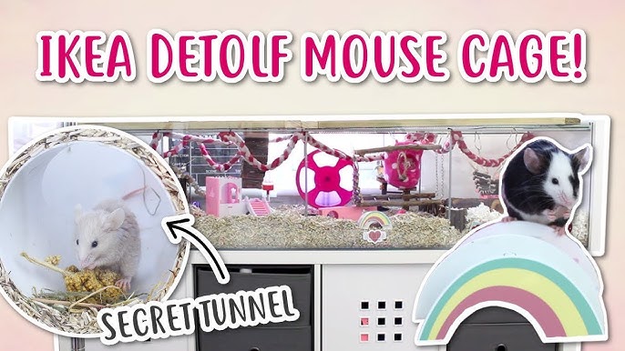 Information on DIY-ing a Mouse Enclosure 🐭 DIY Mouse Cages 🐭 : r/PetMice