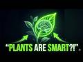 The Ingenuity of Plants