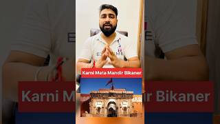 करणी माता मंदिर जहां चूहों की पूजा होती है?| karni Mata Mandir Bikaner shorts karni temple mata