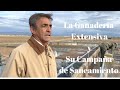 😱Ganadería Extensiva y Su Campaña de Saneamiento