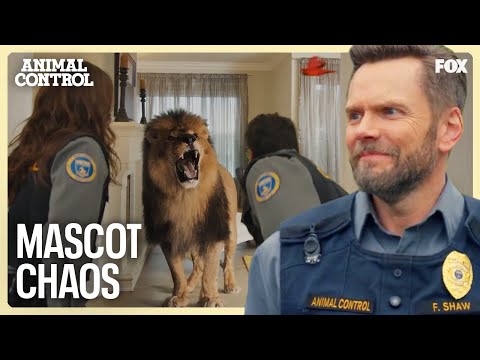 Animal Control