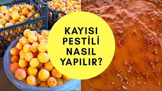 🍑KIŞIMIZI YAZA ÇEVİRENLERDE  BUGÜN KAYISI PESTİLİ😍😋 PESTİL NASIL YAPILIR|EV YAPIMI MEYVE PESTİLİ