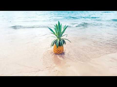 기억의 습작(전람회)  COVER