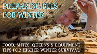 Stratégies d'hivernage efficaces pour un meilleur taux de survie des abeilles mellifères