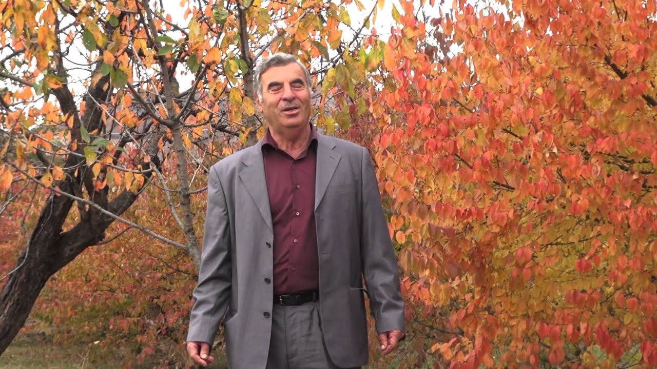 Գեորգի Սարատիկյան - Կռունկները լավ լուր բերին